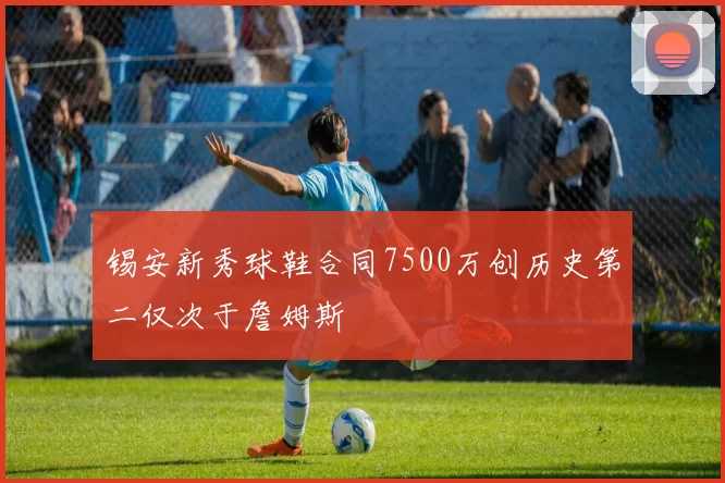 锡安新秀球鞋合同7500万创历史第二仅次于詹姆斯